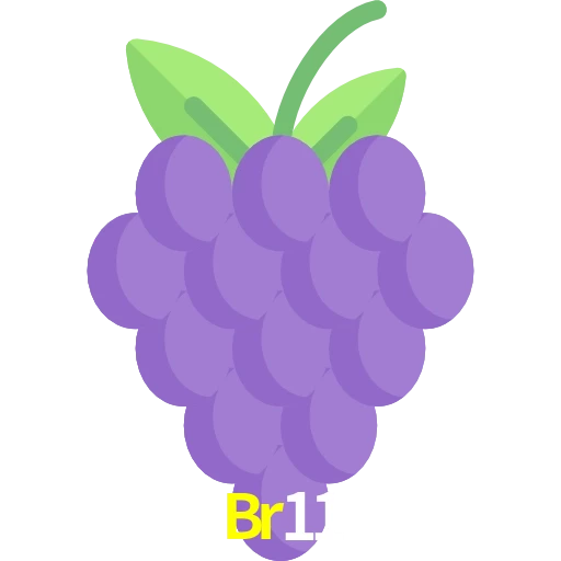 Br11